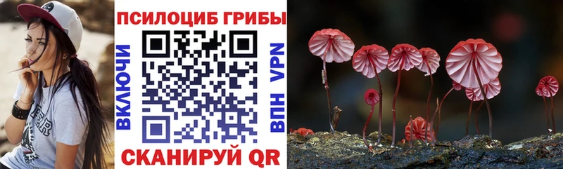 Галлюциногенные грибы Cubensis  OMG маркетплейс  Хадыженск 